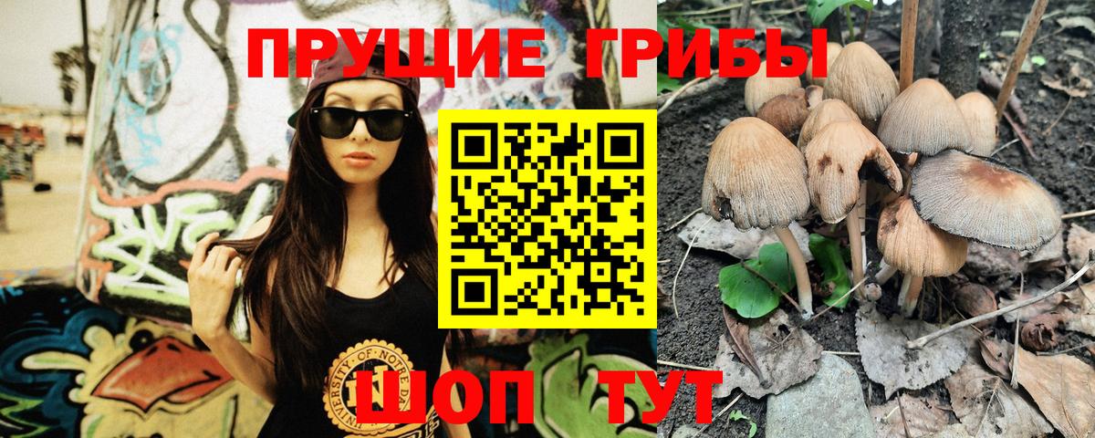 Псилоцибиновые грибы Magic Shrooms Копейск